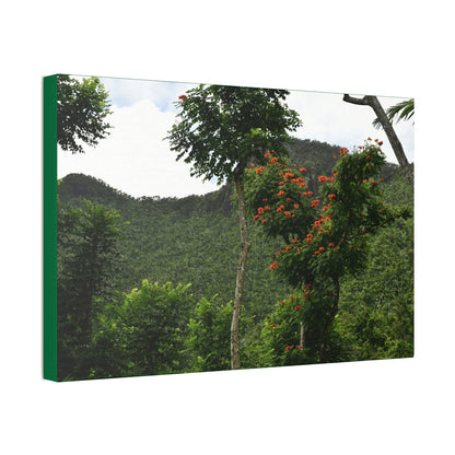 Canvas Stretched - Forest@Home - El Yunque National Forest - Recovering from Hurricane Maria - Mountains view and meaito red flowers - Green Forest Home