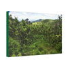 Canvas Stretched - Forest@Home - El Yunque National Forest - Recovering from Hurricane Maria - Old landslide next to side road - Green Forest Home