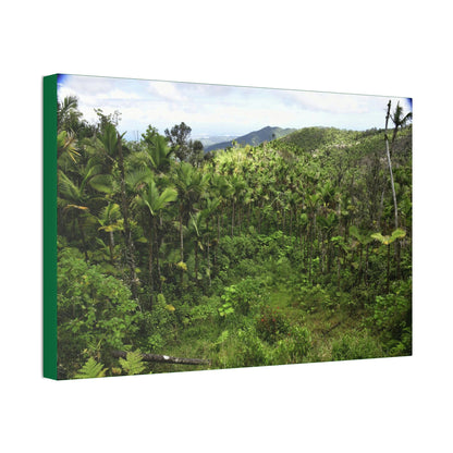 Canvas Stretched - Forest@Home - El Yunque National Forest - Recovering from Hurricane Maria - Old landslide next to side road - Green Forest Home