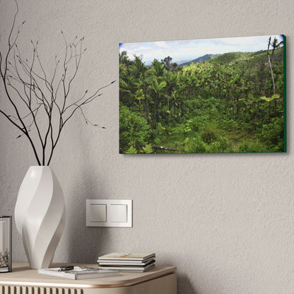 Canvas Stretched - Forest@Home - El Yunque National Forest - Recovering from Hurricane Maria - Old landslide next to side road - Green Forest Home