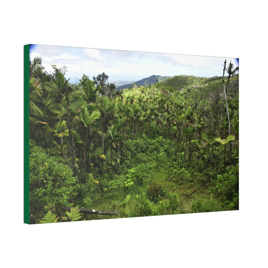 Canvas Stretched - Forest@Home - El Yunque National Forest - Recovering from Hurricane Maria - Old landslide next to side road - Green Forest Home