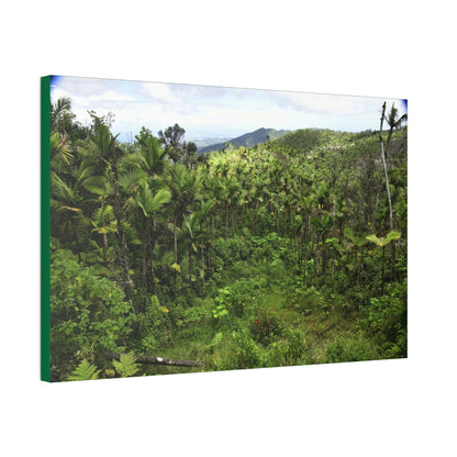 Canvas Stretched - Forest@Home - El Yunque National Forest - Recovering from Hurricane Maria - Old landslide next to side road - Green Forest Home