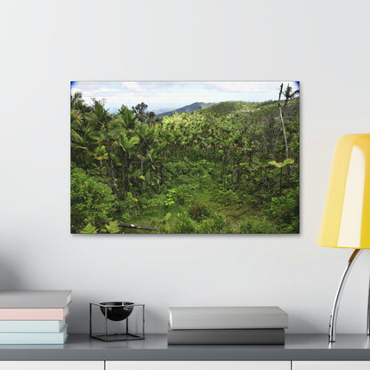 Canvas Stretched - Forest@Home - El Yunque National Forest - Recovering from Hurricane Maria - Old landslide next to side road - Green Forest Home