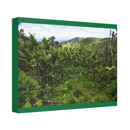 Canvas Stretched - Forest@Home - El Yunque National Forest - Recovering from Hurricane Maria - Old landslide next to side road - Green Forest Home
