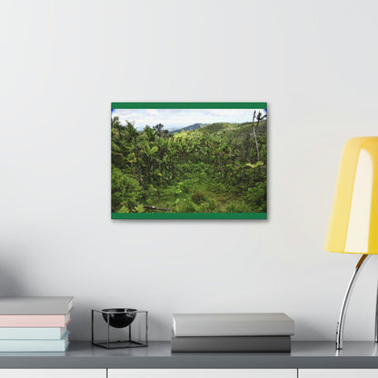 Canvas Stretched - Forest@Home - El Yunque National Forest - Recovering from Hurricane Maria - Old landslide next to side road - Green Forest Home