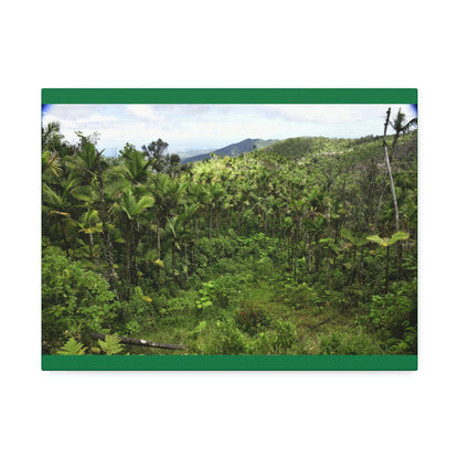 Canvas Stretched - Forest@Home - El Yunque National Forest - Recovering from Hurricane Maria - Old landslide next to side road - Green Forest Home