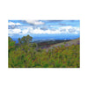 Canvas Stretched - Forest@Home - El Yunque National Forest - Recovering from Hurricane Maria - Road sea view enhanced by color modified - Green Forest Home