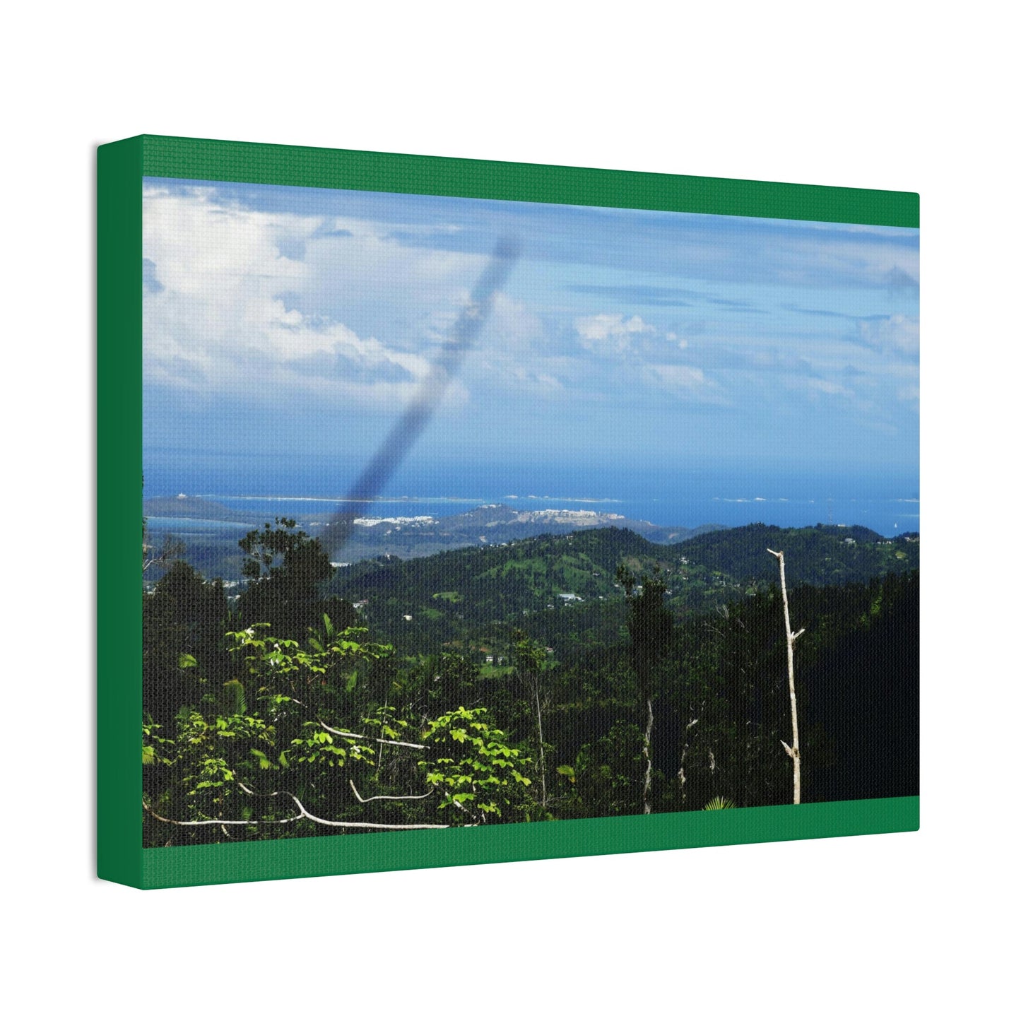 Canvas Stretched - Forest@Home - El Yunque National Forest - Recovering from Hurricane Maria - Sea view from PR 191 and decimated forest - Green Forest Home