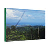 Canvas Stretched - Forest@Home - El Yunque National Forest - Recovering from Hurricane Maria - Sea view from PR 191 and decimated forest - Green Forest Home
