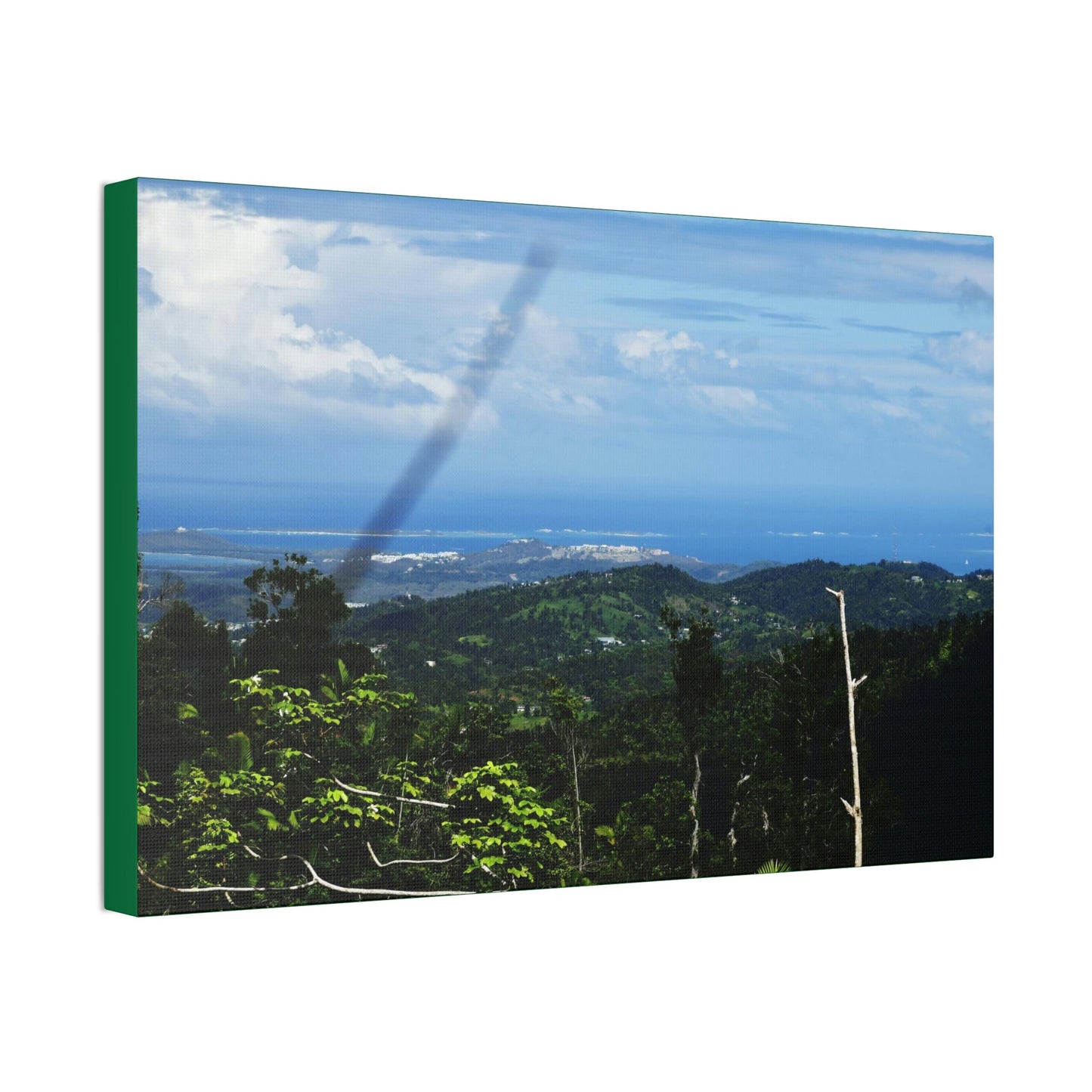 Canvas Stretched - Forest@Home - El Yunque National Forest - Recovering from Hurricane Maria - Sea view from PR 191 and decimated forest - Green Forest Home