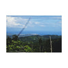 Canvas Stretched - Forest@Home - El Yunque National Forest - Recovering from Hurricane Maria - Sea view from PR 191 and decimated forest - Green Forest Home
