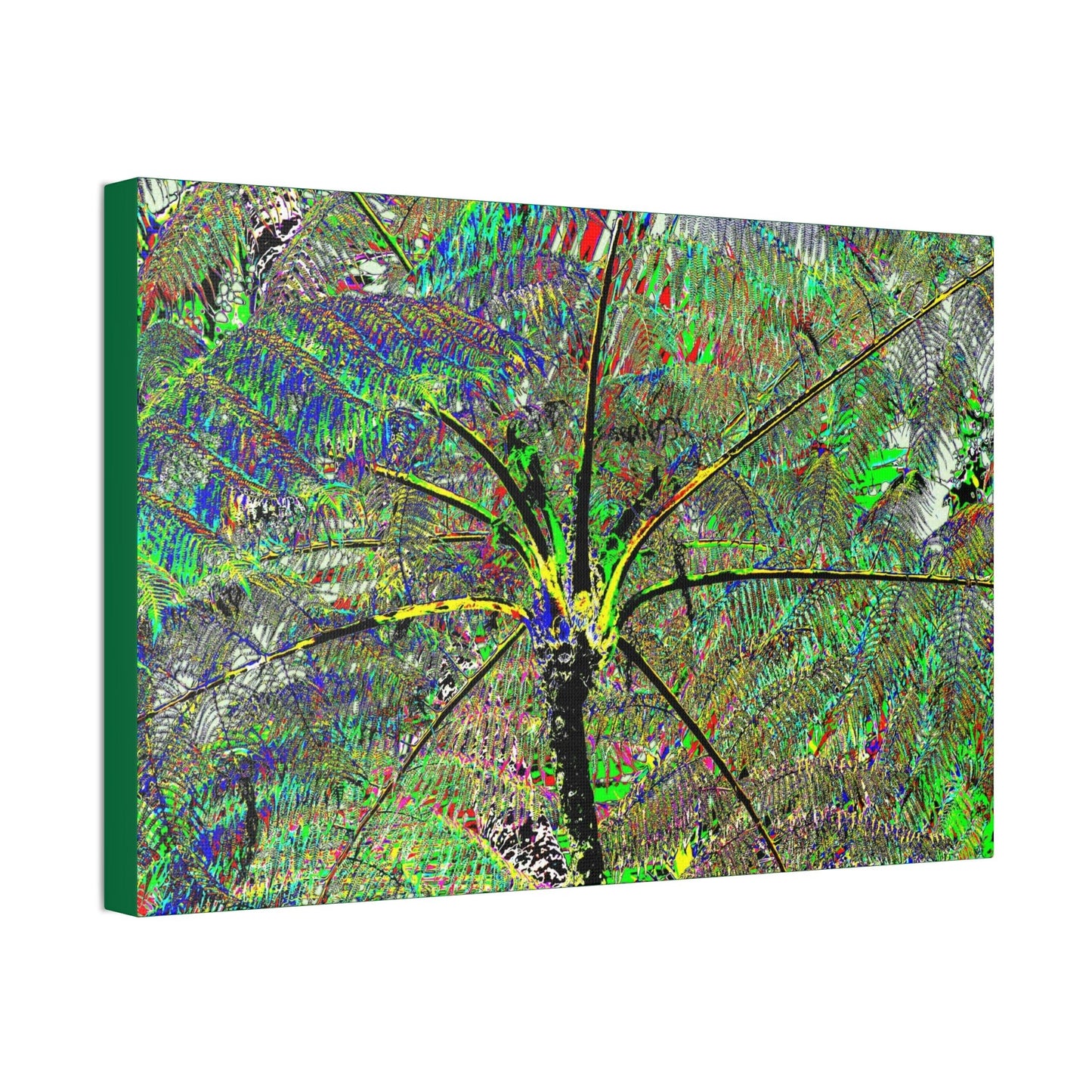 Canvas Stretched - Forest@Home - El Yunque National Forest - Recovering from Hurricane Maria - The ancient Fern Palm color modified - Green Forest Home