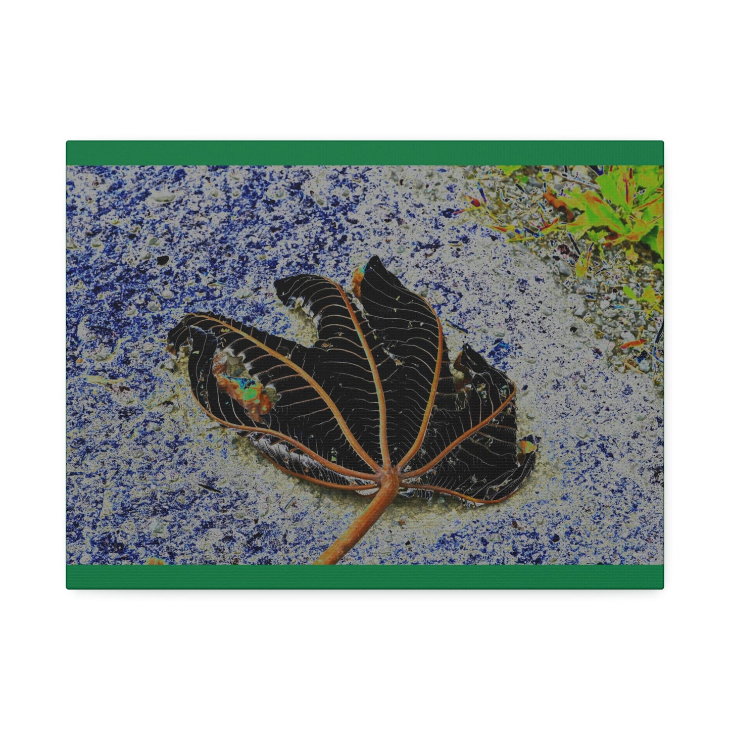 Canvas Stretched - Forest@Home - El Yunque National Forest Recovering from Hurricane Maria - The artistic Yagrumo tree leaf color modified - Green Forest Home
