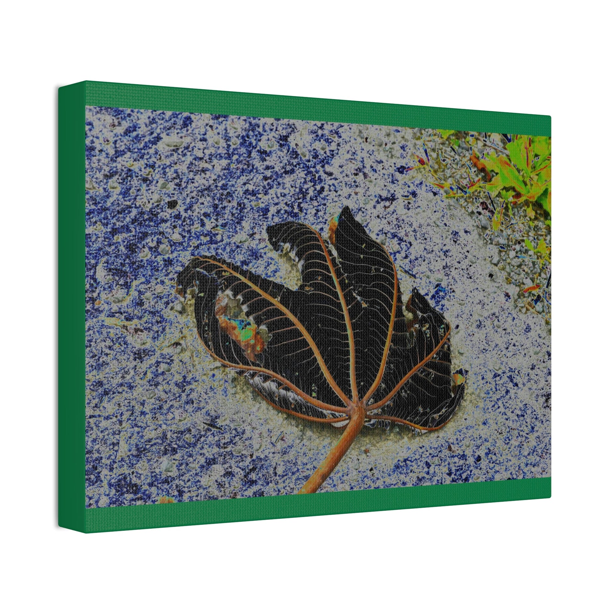 Canvas Stretched - Forest@Home - El Yunque National Forest Recovering from Hurricane Maria - The artistic Yagrumo tree leaf color modified - Green Forest Home