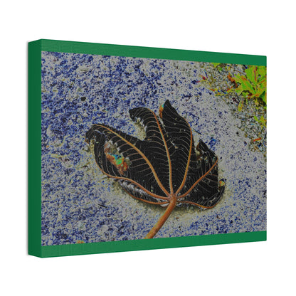 Canvas Stretched - Forest@Home - El Yunque National Forest Recovering from Hurricane Maria - The artistic Yagrumo tree leaf color modified - Green Forest Home
