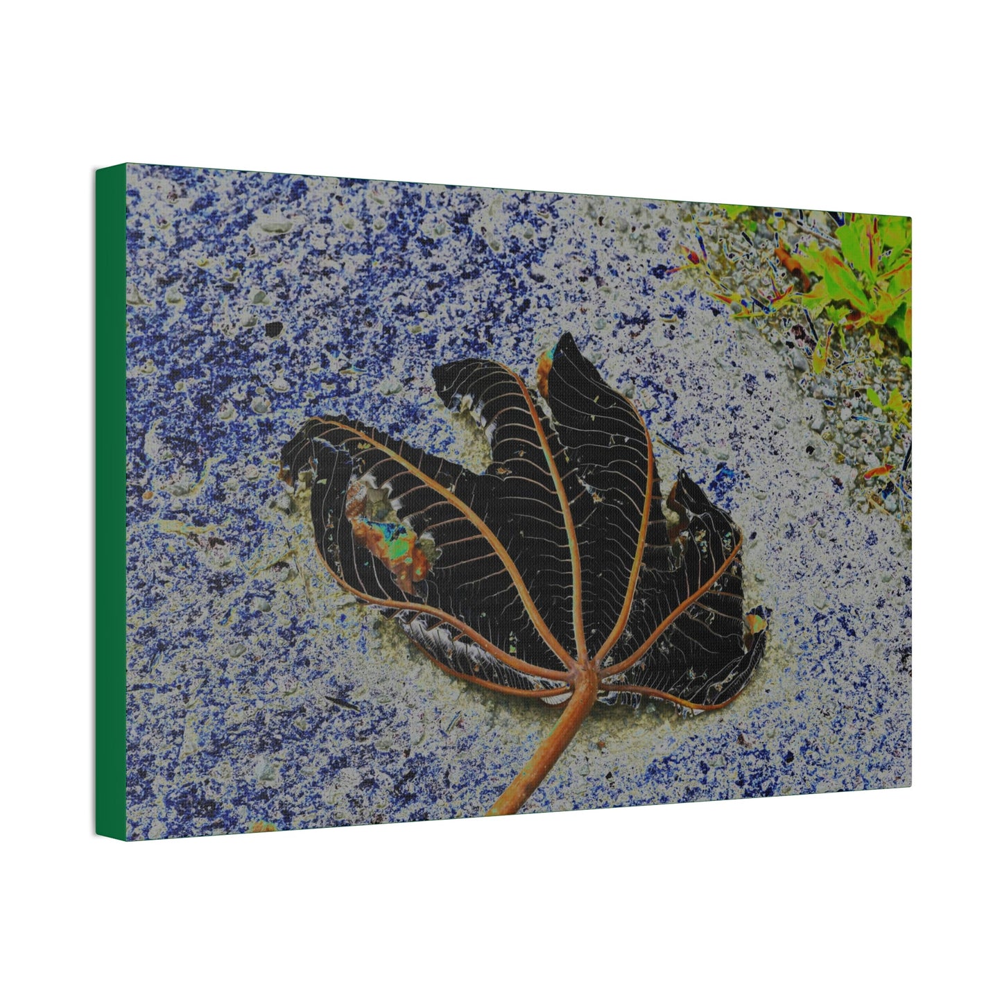 Canvas Stretched - Forest@Home - El Yunque National Forest Recovering from Hurricane Maria - The artistic Yagrumo tree leaf color modified - Green Forest Home