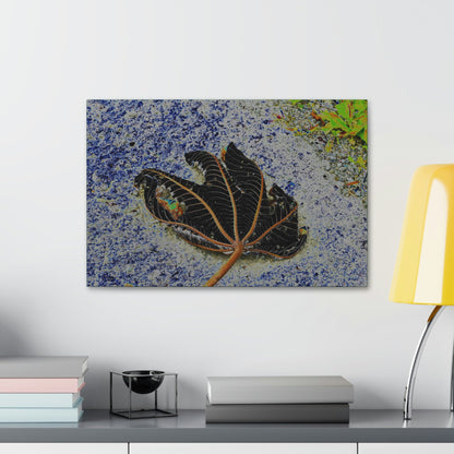 Canvas Stretched - Forest@Home - El Yunque National Forest Recovering from Hurricane Maria - The artistic Yagrumo tree leaf color modified - Green Forest Home