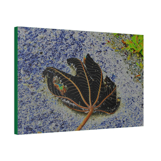 Canvas Stretched - Forest@Home - El Yunque National Forest Recovering from Hurricane Maria - The artistic Yagrumo tree leaf color modified - Green Forest Home