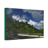 Canvas Stretched - Forest@Home - El Yunque National Forest Recovering from Hurricane Maria - Visitors enjoy the views of PR 191 road - Green Forest Home