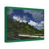 Canvas Stretched - Forest@Home - El Yunque National Forest Recovering from Hurricane Maria - Visitors enjoy the views of PR 191 road - Green Forest Home