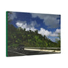 Canvas Stretched - Forest@Home - El Yunque National Forest Recovering from Hurricane Maria - Visitors enjoy the views of PR 191 road - Green Forest Home
