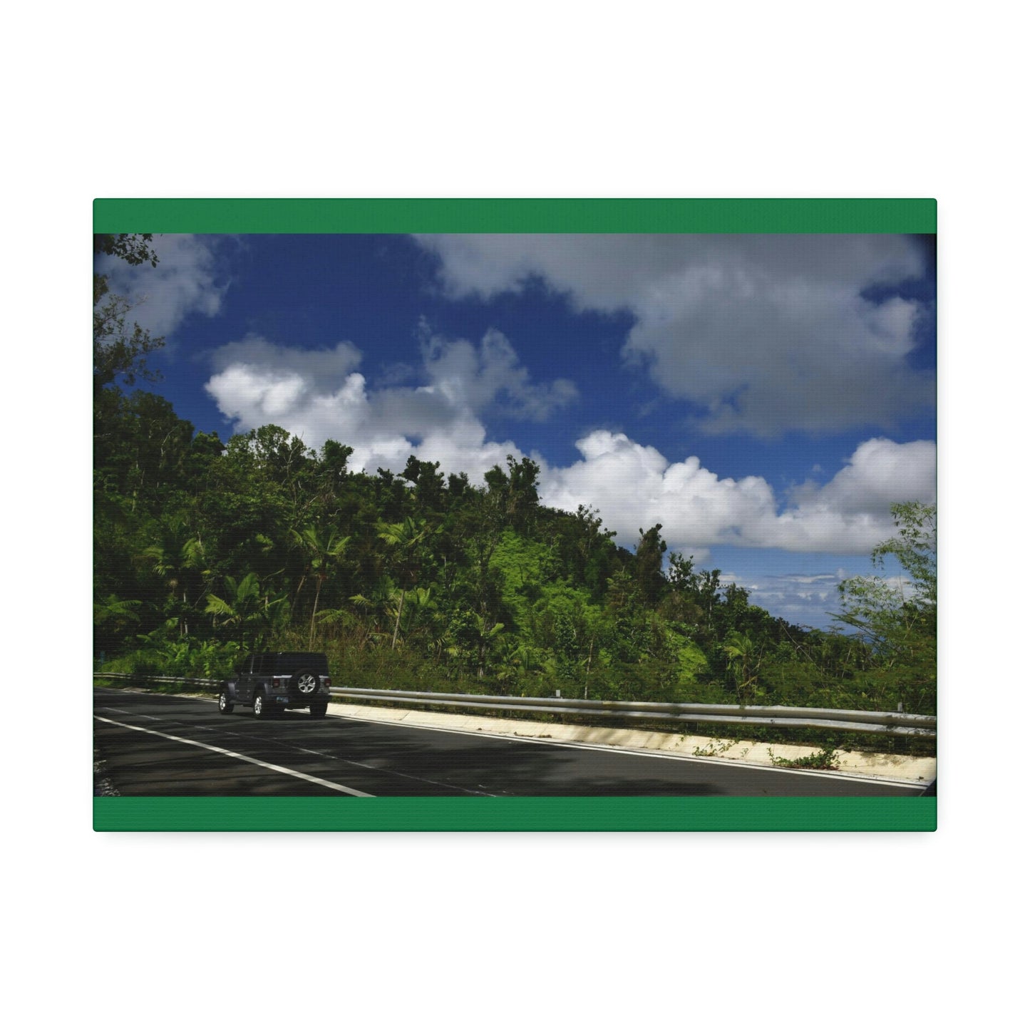 Canvas Stretched - Forest@Home - El Yunque National Forest Recovering from Hurricane Maria - Visitors enjoy the views of PR 191 road - Green Forest Home