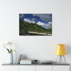 Canvas Stretched - Forest@Home - El Yunque National Forest Recovering from Hurricane Maria - Visitors enjoy the views of PR 191 road - Green Forest Home