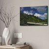 Canvas Stretched - Forest@Home - El Yunque National Forest Recovering from Hurricane Maria - Visitors enjoy the views of PR 191 road - Green Forest Home