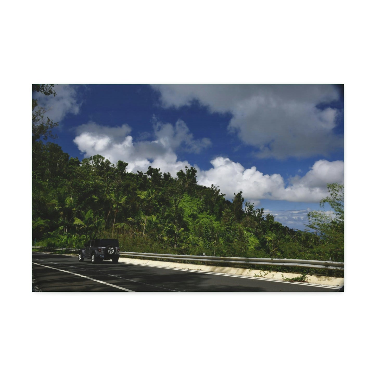 Canvas Stretched - Forest@Home - El Yunque National Forest Recovering from Hurricane Maria - Visitors enjoy the views of PR 191 road - Green Forest Home