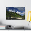 Canvas Stretched - Forest@Home - El Yunque National Forest Recovering from Hurricane Maria - Visitors enjoy the views of PR 191 road - Green Forest Home