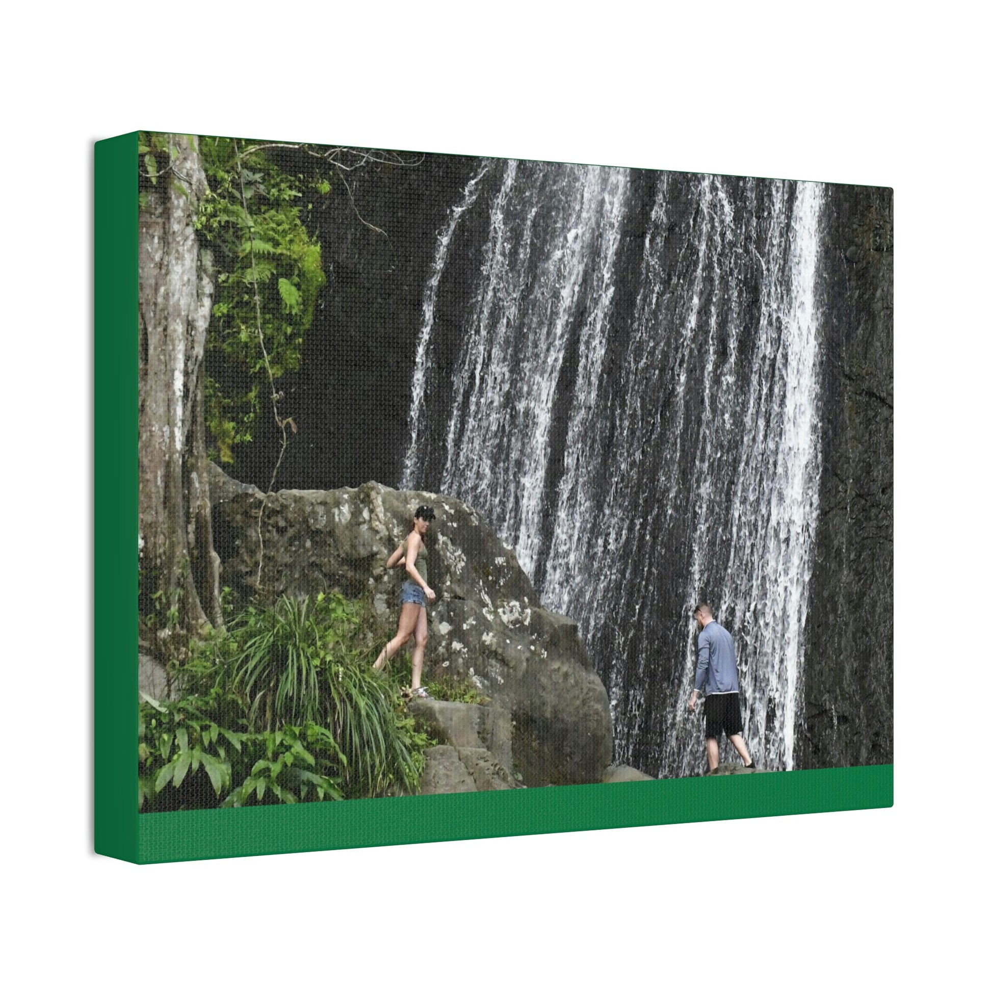 Canvas Stretched - Forest@Home - El Yunque National Forest Recovering from Hurricane Maria - Visitors gets up close to La Coca fall - Green Forest Home