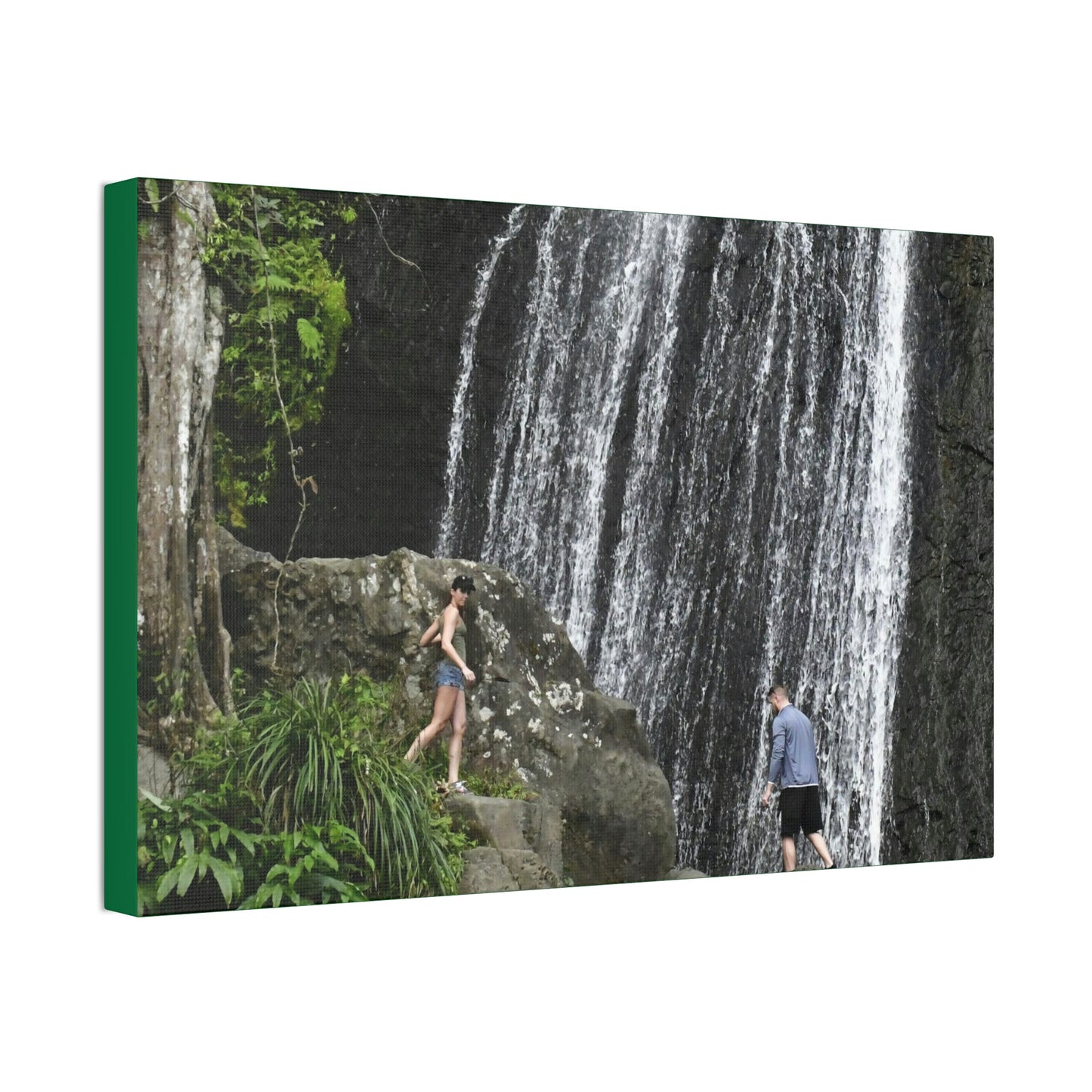 Canvas Stretched - Forest@Home - El Yunque National Forest Recovering from Hurricane Maria - Visitors gets up close to La Coca fall - Green Forest Home