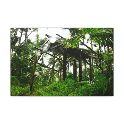Canvas Stretched - Forest@Home - El Yunque - Recovering from Hurricane Maria - 3rd Shelter destroyed by Maria - Tradewinds - Green Forest Home
