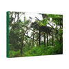 Canvas Stretched - Forest@Home - El Yunque - Recovering from Hurricane Maria - 3rd Shelter destroyed by Maria - Tradewinds - Green Forest Home