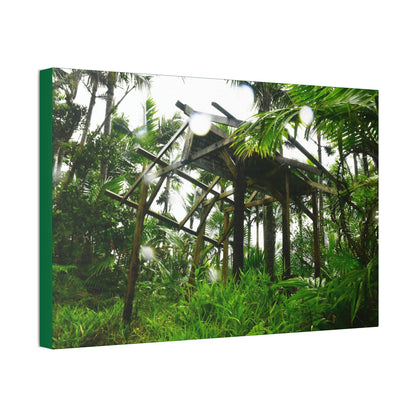 Canvas Stretched - Forest@Home - El Yunque - Recovering from Hurricane Maria - 3rd Shelter destroyed by Maria - Tradewinds - Green Forest Home