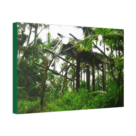 Canvas Stretched - Forest@Home - El Yunque - Recovering from Hurricane Maria - 3rd Shelter destroyed by Maria - Tradewinds - Green Forest Home