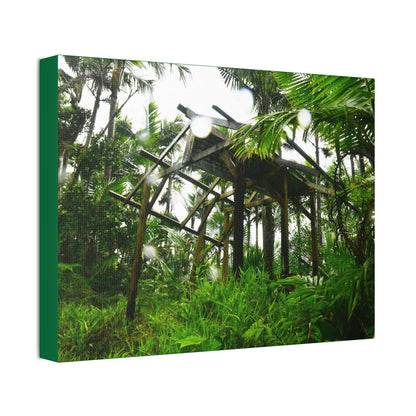 Canvas Stretched - Forest@Home - El Yunque - Recovering from Hurricane Maria - 3rd Shelter destroyed by Maria - Tradewinds - Green Forest Home
