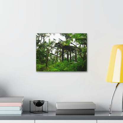 Canvas Stretched - Forest@Home - El Yunque - Recovering from Hurricane Maria - 3rd Shelter destroyed by Maria - Tradewinds - Green Forest Home