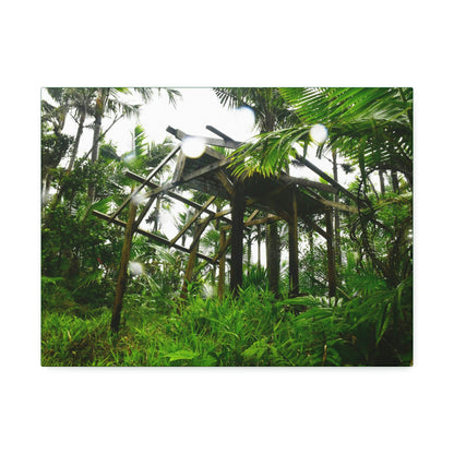 Canvas Stretched - Forest@Home - El Yunque - Recovering from Hurricane Maria - 3rd Shelter destroyed by Maria - Tradewinds - Green Forest Home