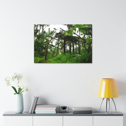 Canvas Stretched - Forest@Home - El Yunque - Recovering from Hurricane Maria - 3rd Shelter destroyed by Maria - Tradewinds - Green Forest Home