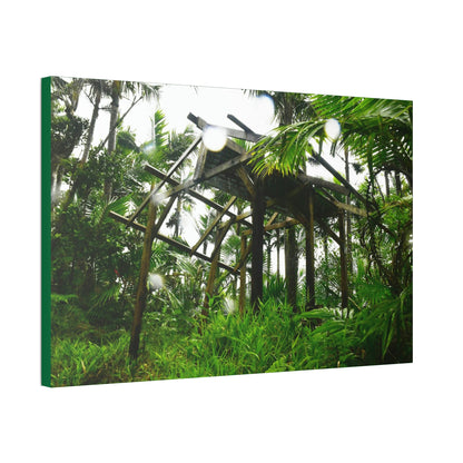 Canvas Stretched - Forest@Home - El Yunque - Recovering from Hurricane Maria - 3rd Shelter destroyed by Maria - Tradewinds - Green Forest Home