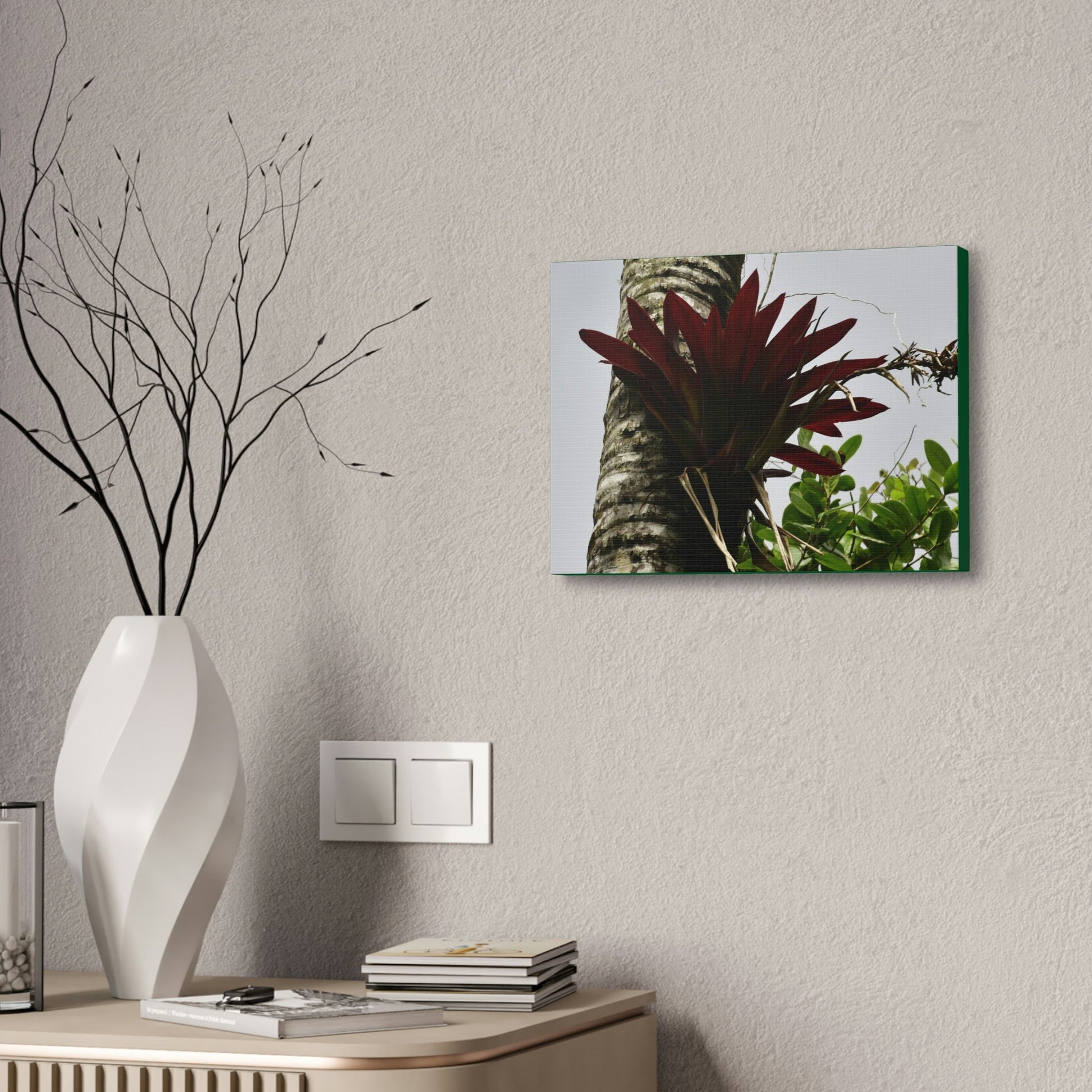 Canvas Stretched - Forest@Home - El Yunque - Recovering from Hurricane Maria - A rare red Bromeliad in a Sierra Palm - Green Forest Home