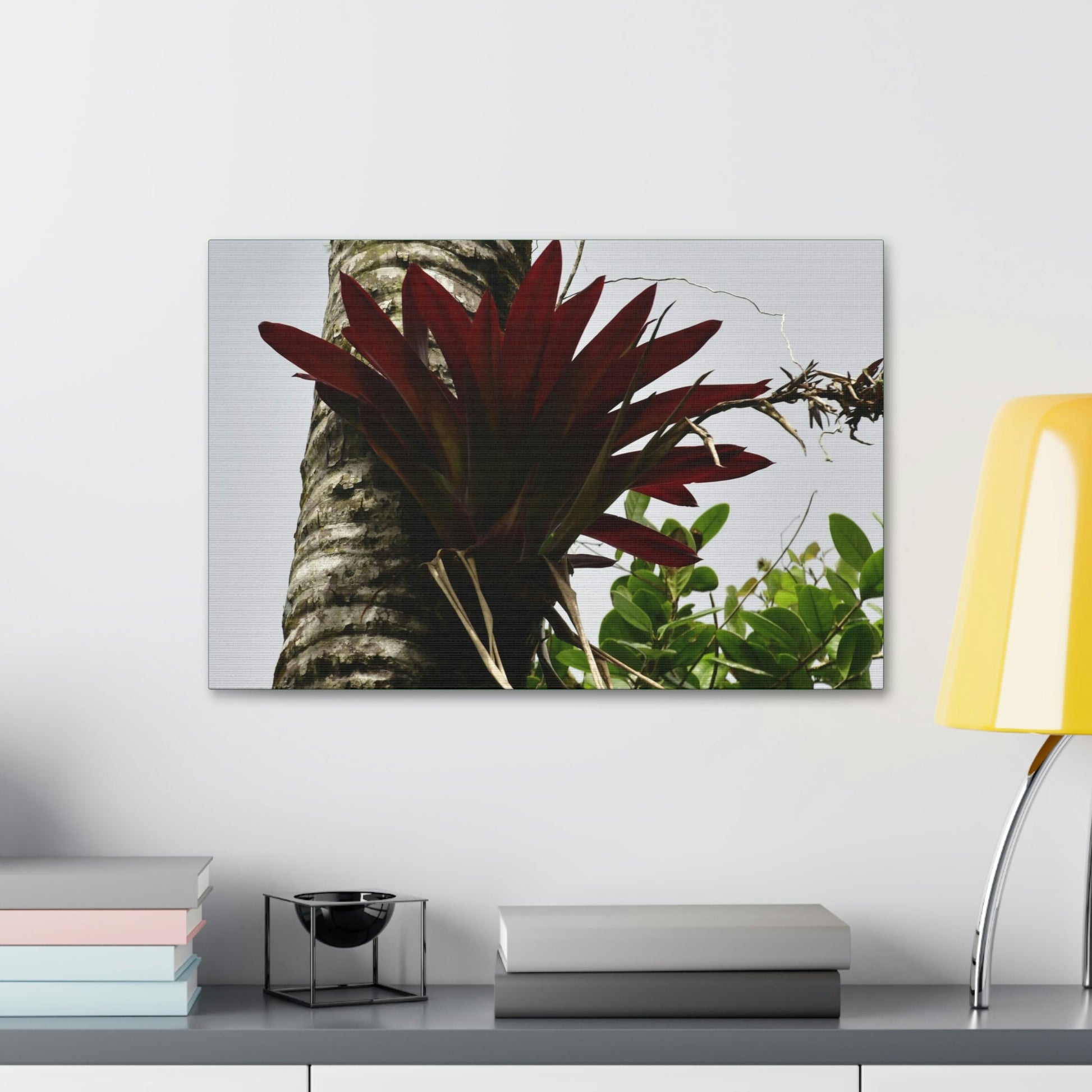 Canvas Stretched - Forest@Home - El Yunque - Recovering from Hurricane Maria - A rare red Bromeliad in a Sierra Palm - Green Forest Home