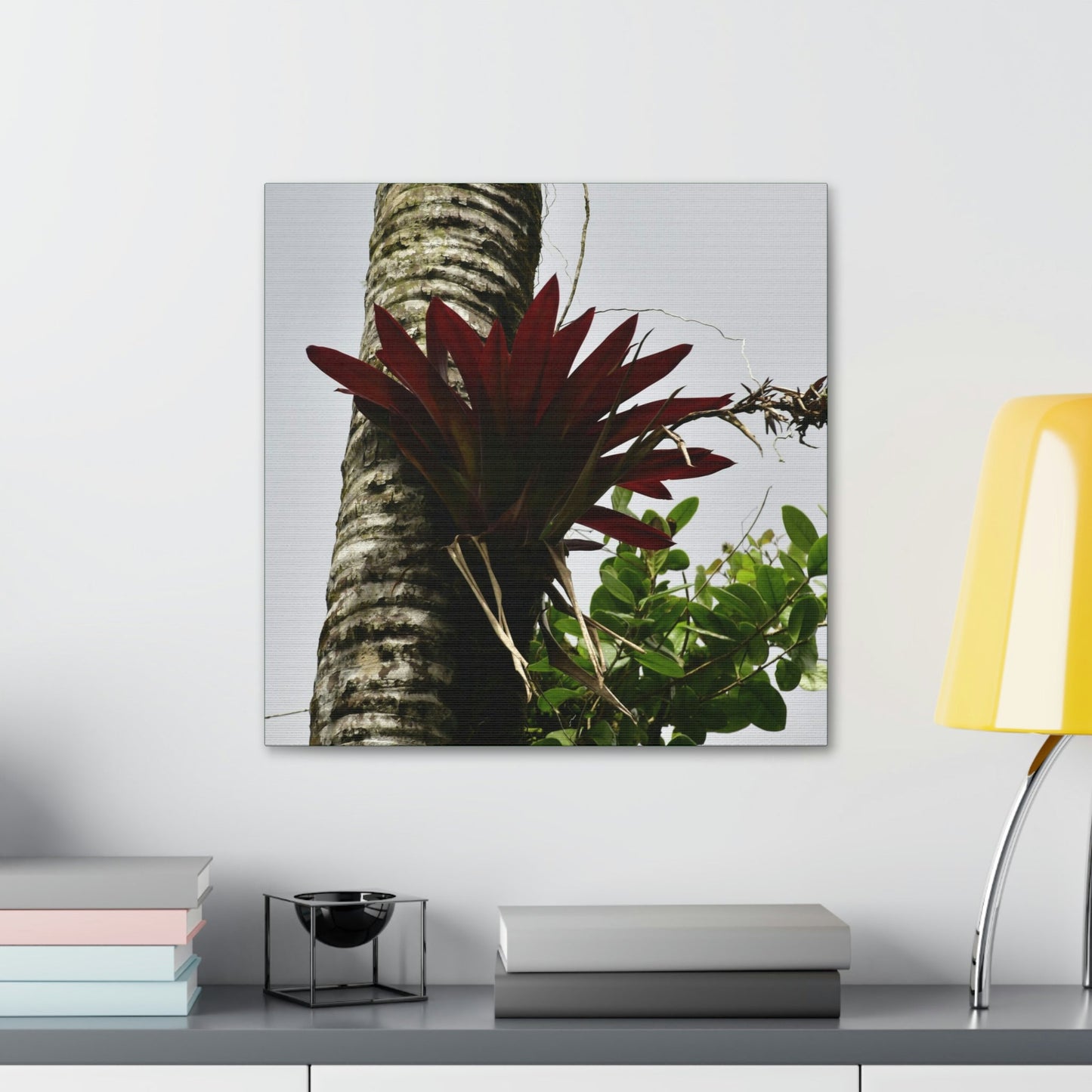 Canvas Stretched - Forest@Home - El Yunque - Recovering from Hurricane Maria - A rare red Bromeliad in a Sierra Palm - Green Forest Home