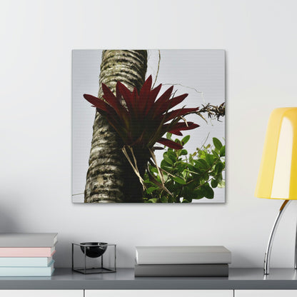 Canvas Stretched - Forest@Home - El Yunque - Recovering from Hurricane Maria - A rare red Bromeliad in a Sierra Palm - Green Forest Home