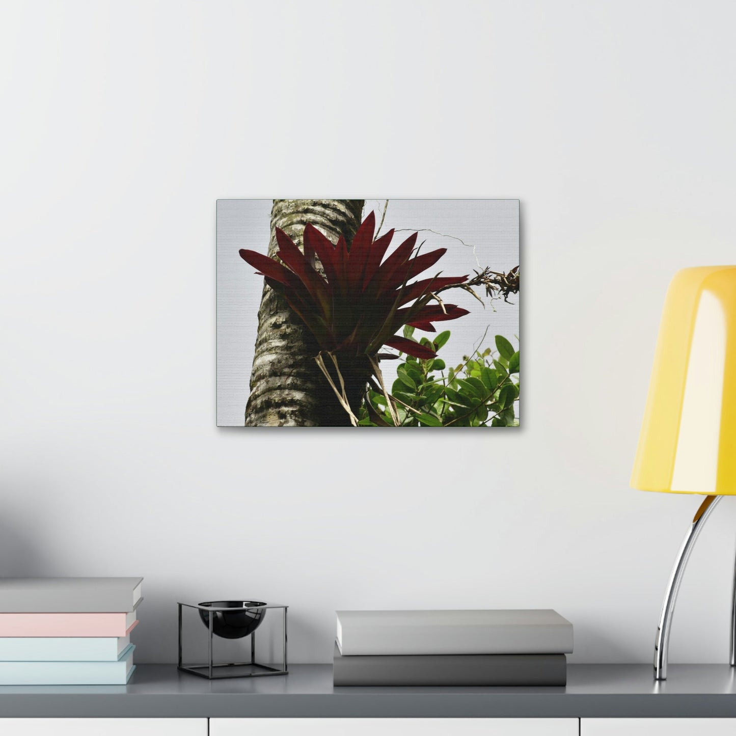 Canvas Stretched - Forest@Home - El Yunque - Recovering from Hurricane Maria - A rare red Bromeliad in a Sierra Palm - Green Forest Home
