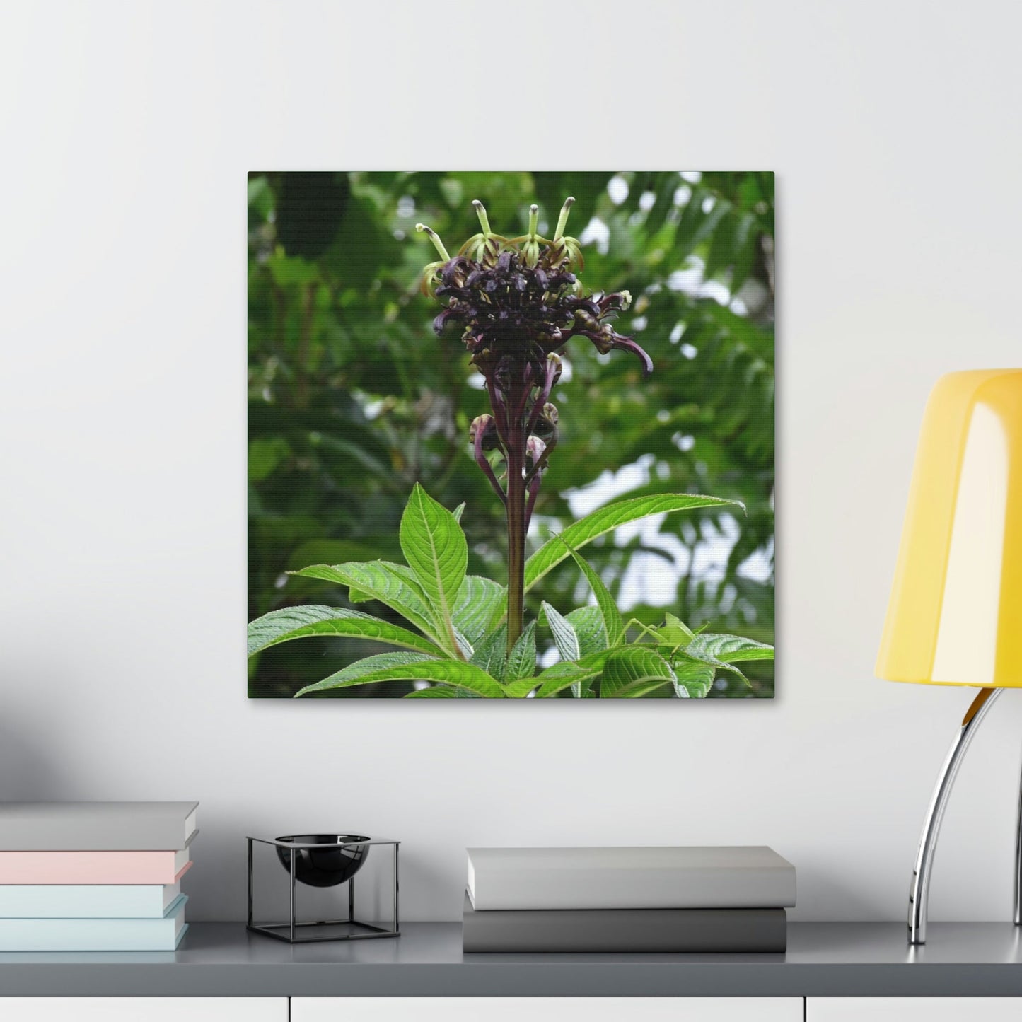 Canvas Stretched - Forest@Home - El Yunque - Recovering from Hurricane Maria - A weird flower of a plant of the forest - Green Forest Home