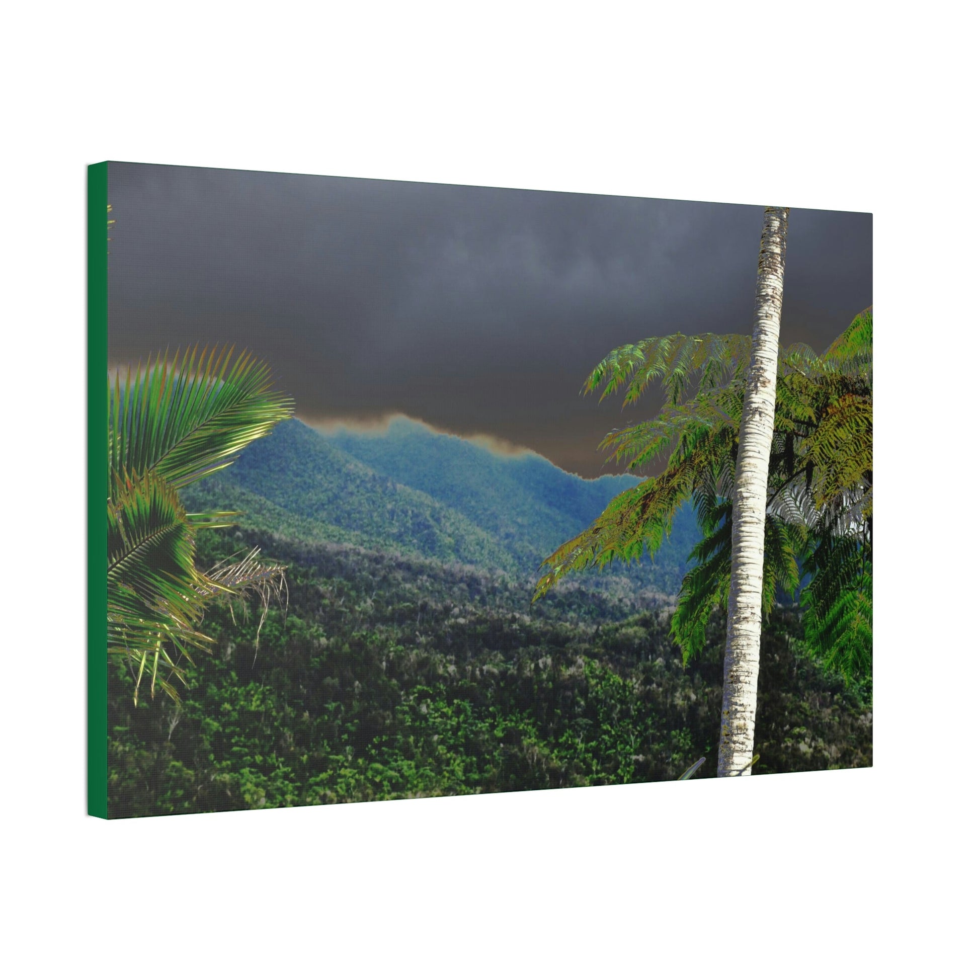 Canvas Stretched - Forest@Home - El Yunque - Recovering from Hurricane Maria - Broad view of the East peak from closed PR 191 - Green Forest Home