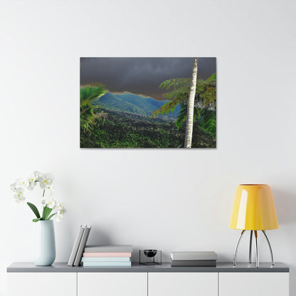 Canvas Stretched - Forest@Home - El Yunque - Recovering from Hurricane Maria - Broad view of the East peak from closed PR 191 - Green Forest Home