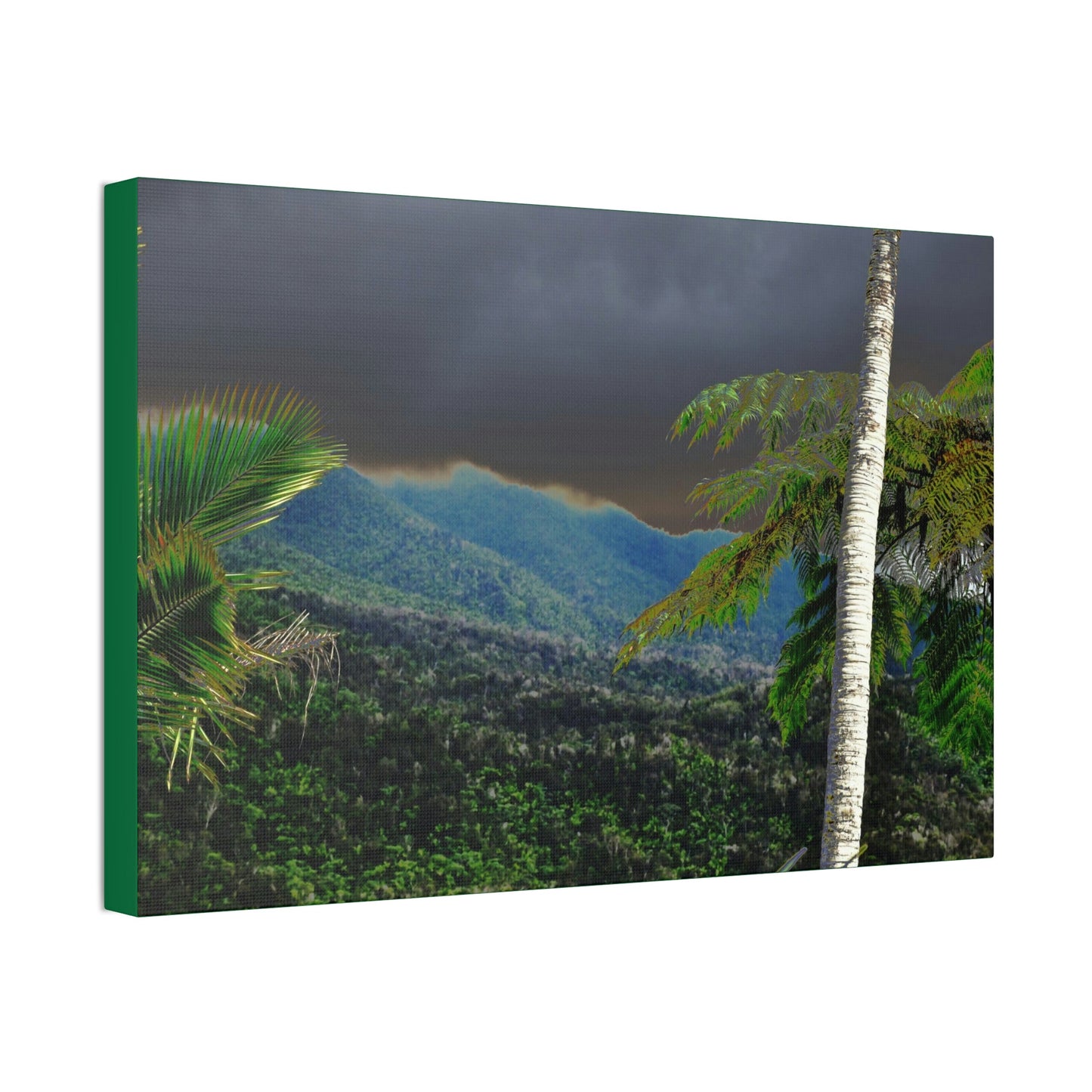 Canvas Stretched - Forest@Home - El Yunque - Recovering from Hurricane Maria - Broad view of the East peak from closed PR 191 - Green Forest Home